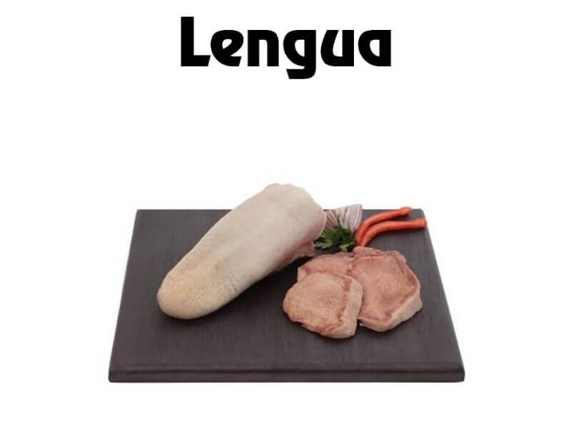 Lengua 1