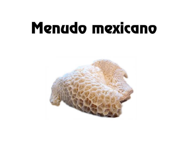 Menudo Mexicano 2